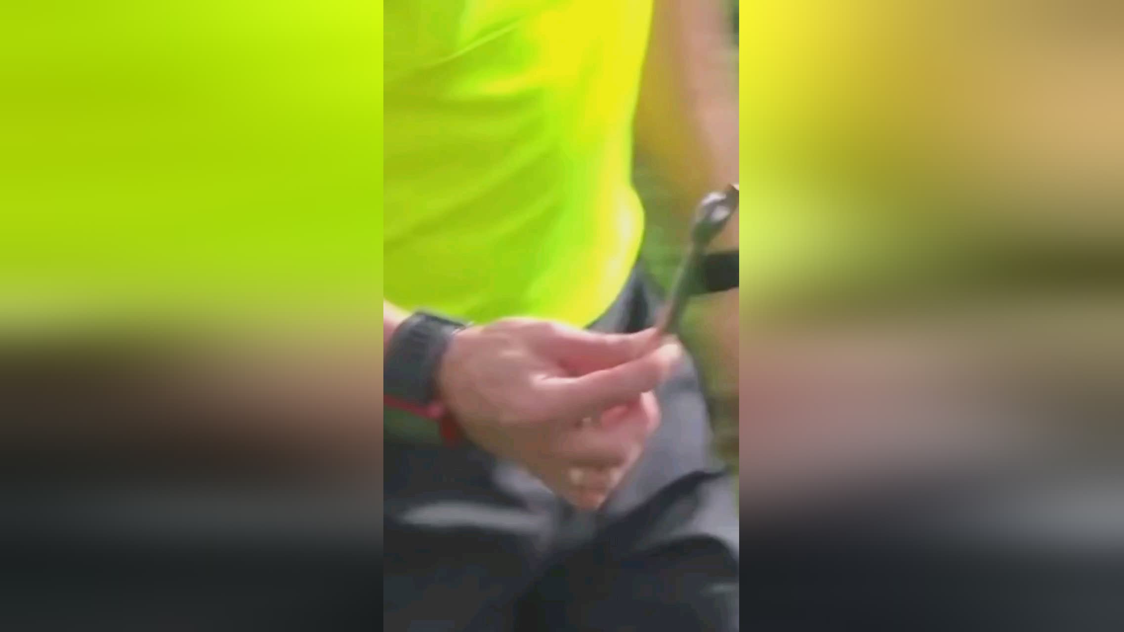 的明
